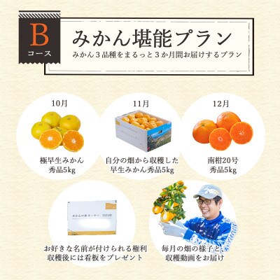 自分の畑が持てる!みかんオーナー制度:Bみかん堪能プラン ミヤモトオレンジガーデン【H25-112】