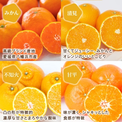 ミヤモトオレンジガーデンの「愛媛選り抜き!スペシャルかんきつゼリー12本セット」【C25-152】