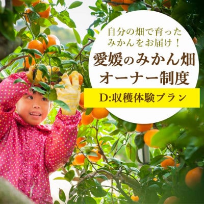自分の畑が持てる!オーナー制度:Dみかん収穫体験プラン ミヤモトオレンジガーデン【H25-157】