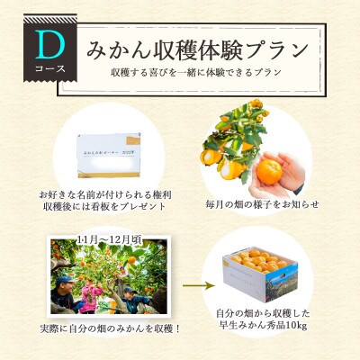 自分の畑が持てる!オーナー制度:Dみかん収穫体験プラン ミヤモトオレンジガーデン【H25-157】