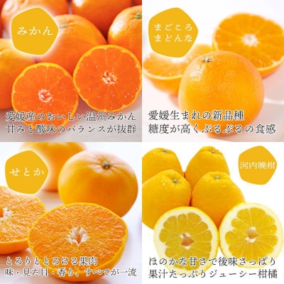 人気品種を厳選!みかん寒天ゼリー食べ比べセット 4品種×2本 計8本 【C25-31】