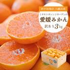 【2025年11月より順次発送】酸味と甘みのバランス◎愛媛みかん3kg【訳あり】【B25-164】