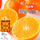 【2026年発送】「紅プリンセス」と同品種!愛媛果試48号 3kg【訳あり】【E25-174】