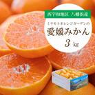 【2025年11月より順次発送】何個でも食べられる!八幡浜産 愛媛みかん3kg【C25-175】