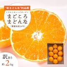 【2025年11月より順次発送】【訳あり】紅まどんなと同品種!愛果28号 2kg【C25-179】