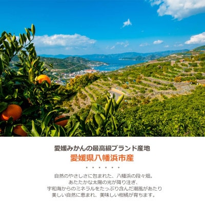 愛媛の人気柑橘品種を贅沢に飲み比べ!みかん寒天ゼリー 5本セット【A25-180】
