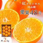 【2026年発送】甘平×まどんな「紅プリンセス」と同品種!愛媛果試48号 2kg【E25-181】