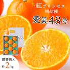 【2026年発送】「紅プリンセス」と同品種!愛媛果試48号 贈答箱入り 約2kg【E25-182】