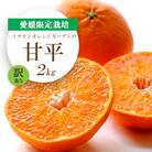 【2026年2月より順次発送】愛媛限定栽培柑橘 甘平(かんぺい)2kg【訳あり】【D25-184】