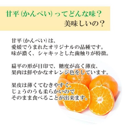 【2026年2月より順次発送】愛媛限定栽培柑橘 甘平(かんぺい)2kg【訳あり】【D25-184】