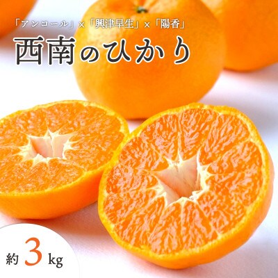 【2025年12月以降発送】愛媛県八幡浜市産 西南のひかり 3kg【C25-191】