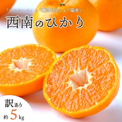【2025年12月以降発送】愛媛県八幡浜市産 西南のひかり 5kg【訳あり】【C25-192】