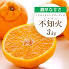 【2026年2月以降発送】デコポンと同品種 濃厚柑橘 不知火(しらぬい) 3kg【C25-203】