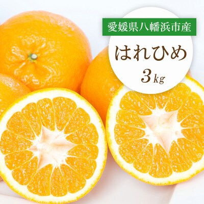 【2025年12月より順次発送】愛媛県八幡浜市産 はれひめ3kg【C25-206】