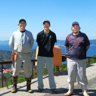 【2025年12月より順次発送】愛媛県八幡浜市産 はれひめ3kg【C25-206】