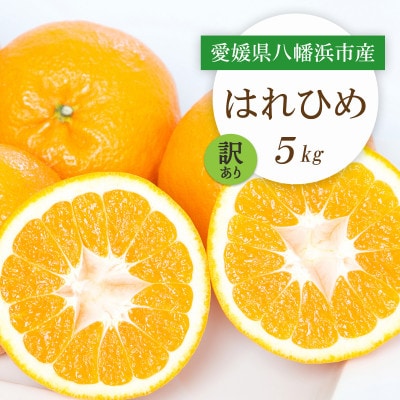 【2025年12月より順次発送】愛媛県八幡浜市産 はれひめ5kg【訳あり】【C25-207】