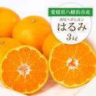【2026年2月より順次発送】愛媛県八幡浜市産 はるみ3kg【C25-208】