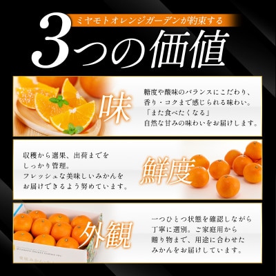 【先行受付】愛媛県八幡浜市産 はるみ3kg【C25-208】