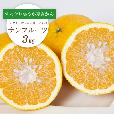 【2026年3月以降発送】さっぱりみずみずしい サンフルーツ(甘夏)3kg【C25-213】