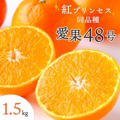 【2026年発送】甘平×まどんな「紅プリンセス」と同品種!愛媛果試48号1.5kg【C25-211】
