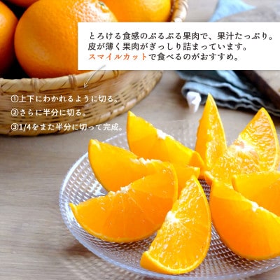 【2026年発送】甘平×まどんな「紅プリンセス」と同品種!愛媛果試48号1.5kg【C25-211】