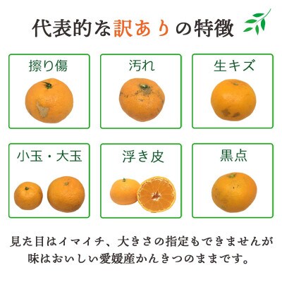 【2026年2月より順次発送】愛媛県八幡浜市産 はるみ5kg【訳あり】【C25-209】