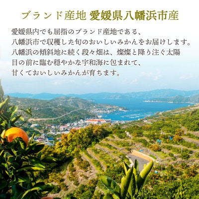 【2025年11月より順次発送】大玉サイズのみ厳選!愛媛みかん5kg【訳あり】【A25-219】