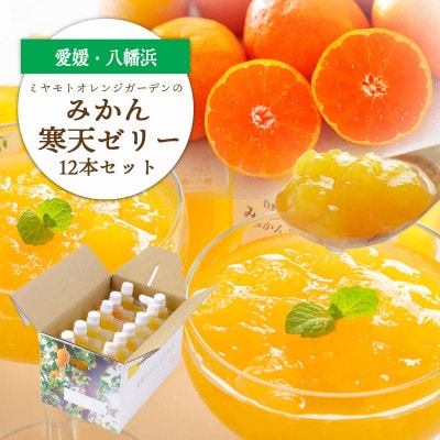 ゲル化剤・pH調整剤不使用!愛媛産 みかん寒天ゼリー 12本セット【D25-220】