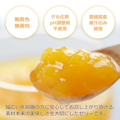 ゲル化剤・pH調整剤不使用!愛媛産 みかん寒天ゼリー 12本セット【D25-220】