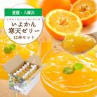 ゲル化剤・pH調整剤不使用!愛媛産 いよかん寒天ゼリー 12本セット【D25-222】