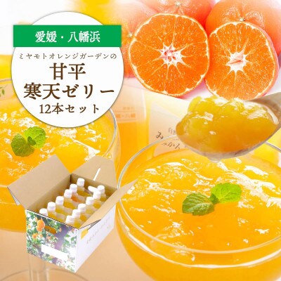 ゲル化剤・pH調整剤不使用!愛媛限定栽培品種 甘平(かんぺい)寒天ゼリー 12本【D25-226】