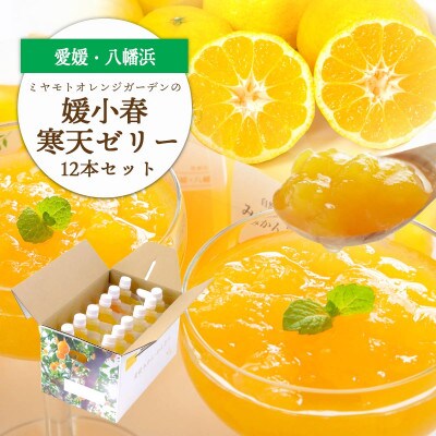 ゲル化剤・pH調整剤不使用!愛媛産 媛小春寒天ゼリー 12本セット【D25-227】