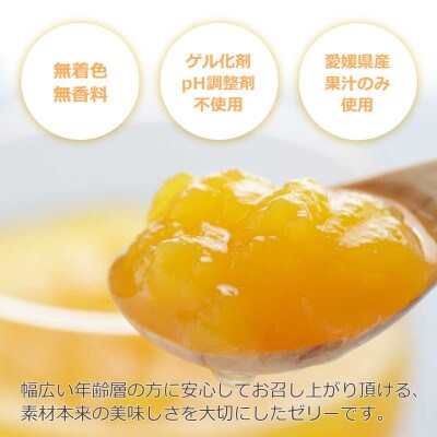 ゲル化剤・pH調整剤不使用!愛媛産 清見寒天ゼリー 8本セット【C25-229】
