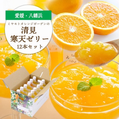 ゲル化剤・pH調整剤不使用!愛媛産 清見寒天ゼリー 12本セット【D25-230】