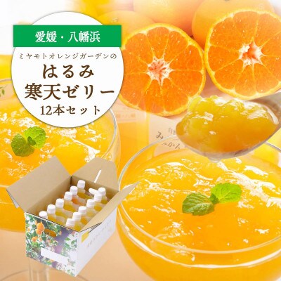ゲル化剤・pH調整剤不使用!愛媛産 はるみ寒天ゼリー 12本セット【D25-232】