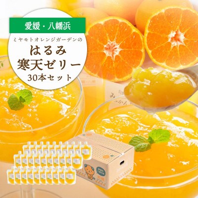 ゲル化剤・pH調整剤不使用!愛媛産 はるみ寒天ゼリー 30本セット【H25-233】