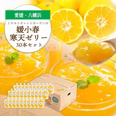 ゲル化剤・pH調整剤不使用!愛媛産 媛小春寒天ゼリー 30本セット【H25-238】