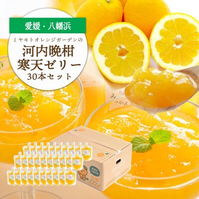 ゲル化剤・pH調整剤不使用!愛媛産 河内晩柑寒天ゼリー 30本セット【H25-239】