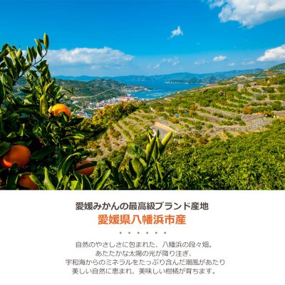 ゲル化剤・pH調整剤不使用!愛媛産 河内晩柑寒天ゼリー 30本セット【H25-239】