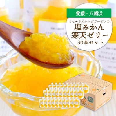 ゲル化剤・pH調整剤不使用!愛媛産 塩みかん寒天ゼリー 30本セット【H25-241】