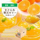 ゲル化剤・pH調整剤不使用!愛媛産 まどんな寒天ゼリー 30本セット【H25-242】