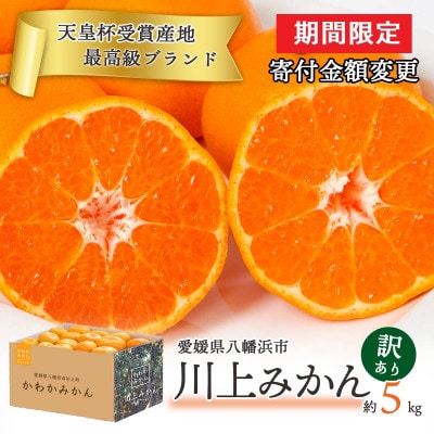 <期間限定!寄付額改定>【天皇杯受賞産地】川上みかん 約5kg【訳あり】【C25-247】