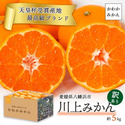 【天皇杯受賞産地】愛媛県八幡浜市 川上みかん 約5kg【訳あり】【C25-247】