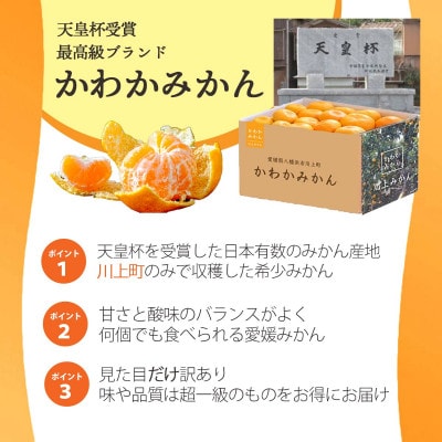 【天皇杯受賞産地】 愛媛県八幡浜市川上町産 温州みかん 約5kg【訳あり】【C25-247】