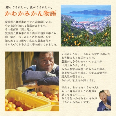 【天皇杯受賞産地】 愛媛県八幡浜市川上町産 温州みかん 約5kg【訳あり】【C25-247】