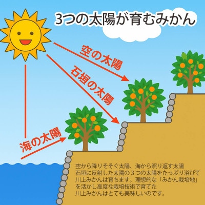 <期間限定!寄付額改定>【天皇杯受賞産地】川上みかん 約5kg【訳あり】【C25-247】