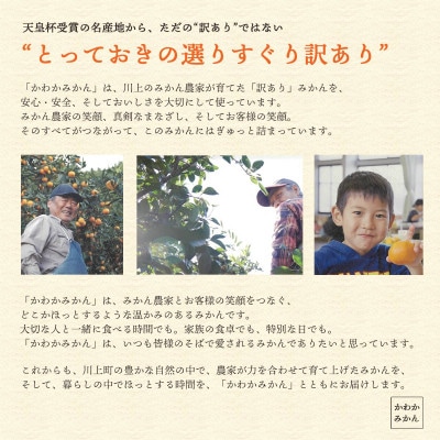 【天皇杯受賞産地】 愛媛県八幡浜市川上町産 温州みかん 約5kg【訳あり】【C25-247】