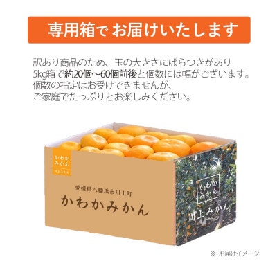 <期間限定!寄付額改定>【天皇杯受賞産地】川上みかん 約5kg【訳あり】【C25-247】