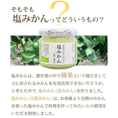 新しい調味料「塩みかん」で食べる!じゃこ天&じゃこカツ 食べ比べセット【八水蒲鉾】【C25-285】