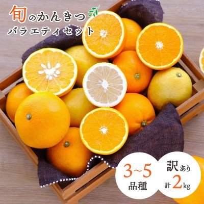 愛媛県八幡浜産 旬のかんきつ詰め合わせバラエティセット 計2kg【訳あり】【C25-293】